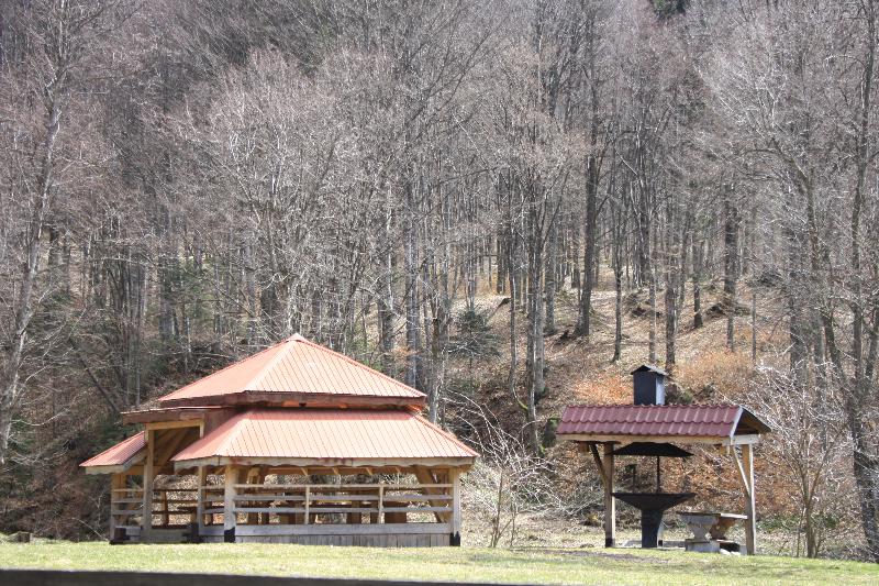 Foisorul din lemn, constructia perfecta pentru zilele de vara